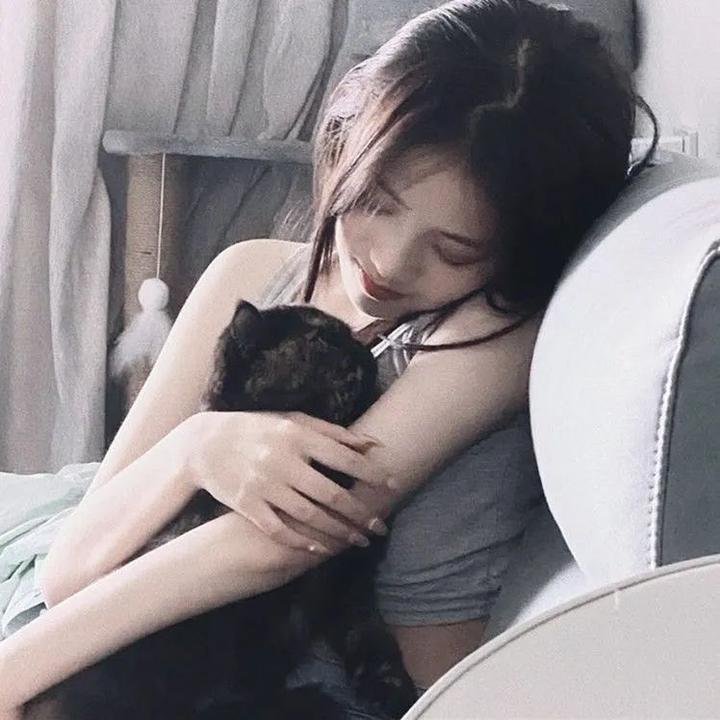 13朵玫瑰